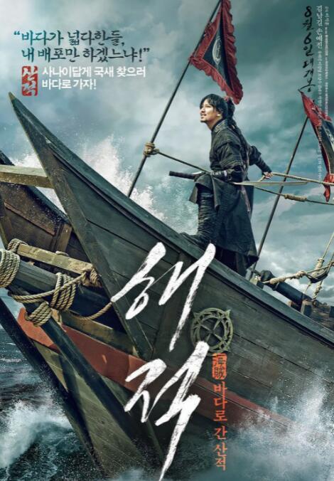 海盗,2014 