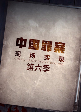 罪案现场实录,第六季 