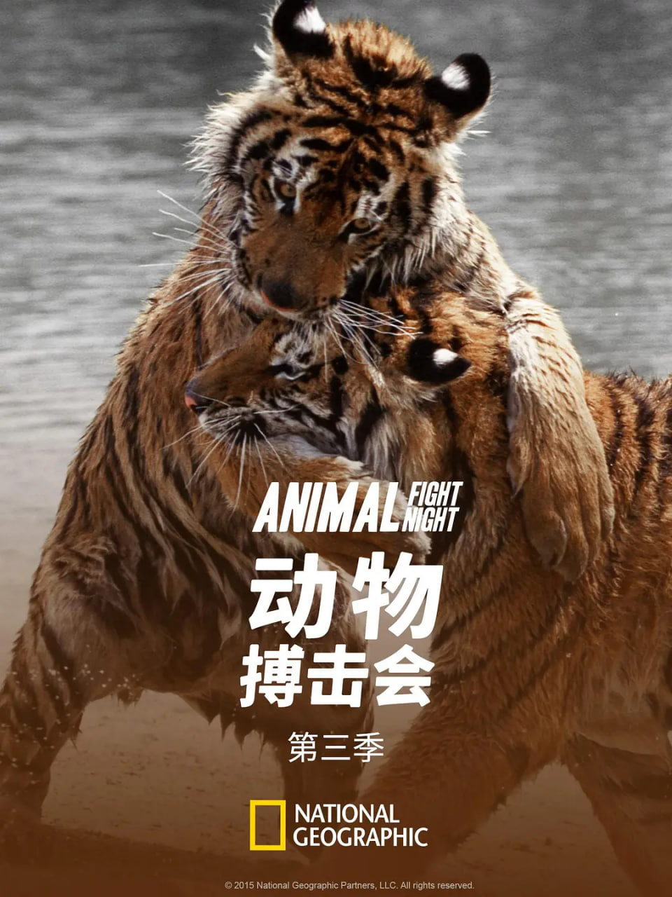 动物搏击会,第三季 