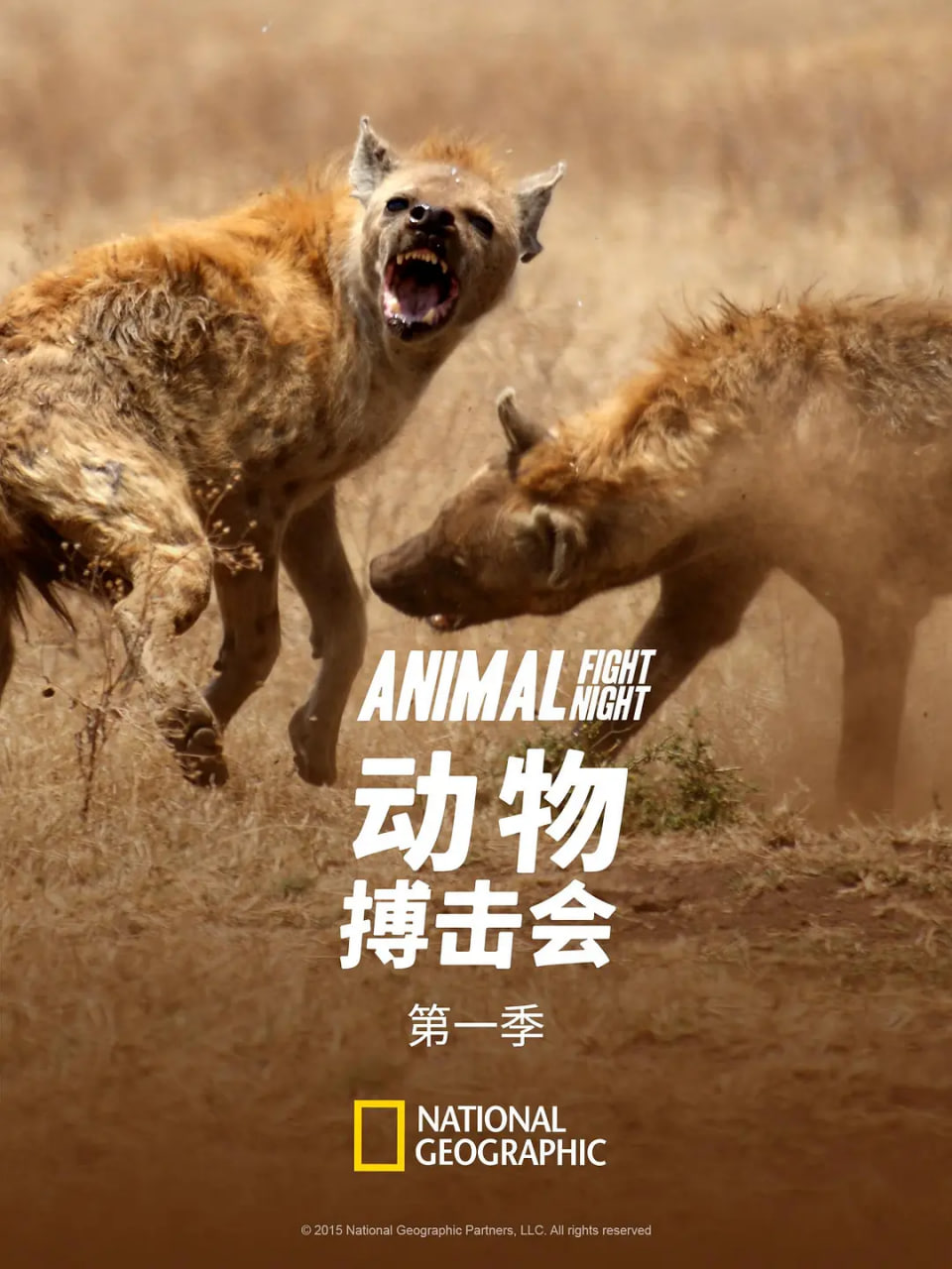 动物搏击会,第一季 