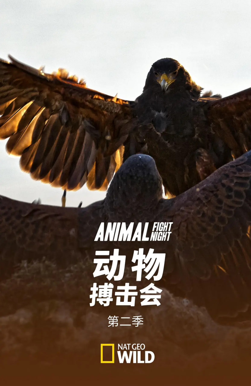 动物搏击会,第二季 