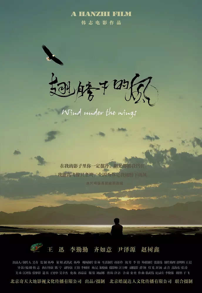 翅膀下的风 