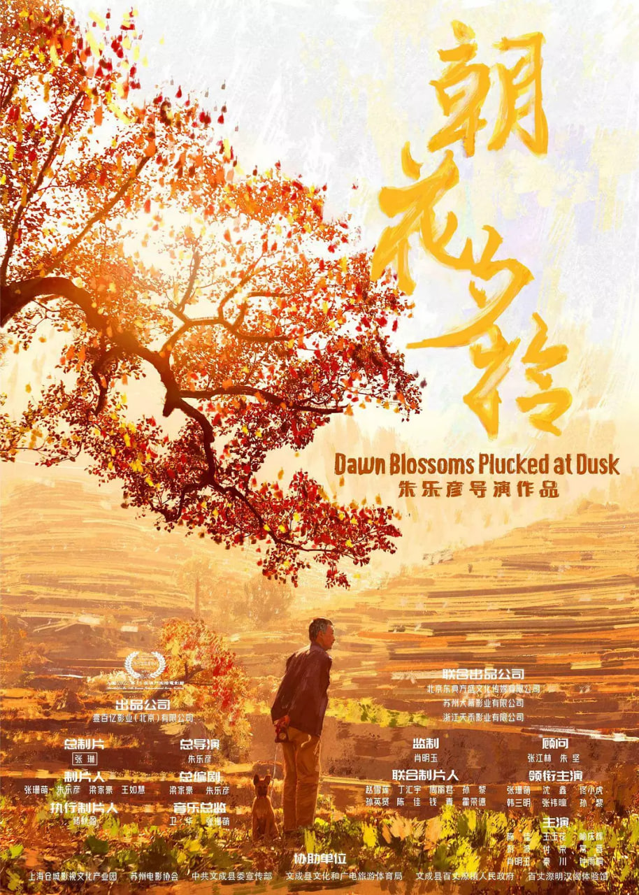朝花夕拾 