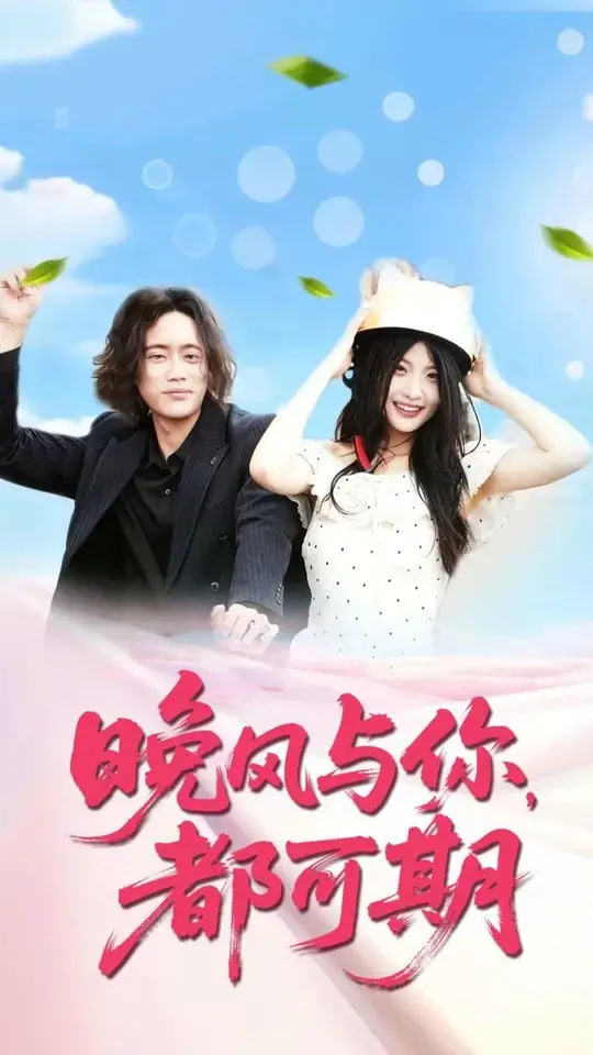 晚风与你都可期