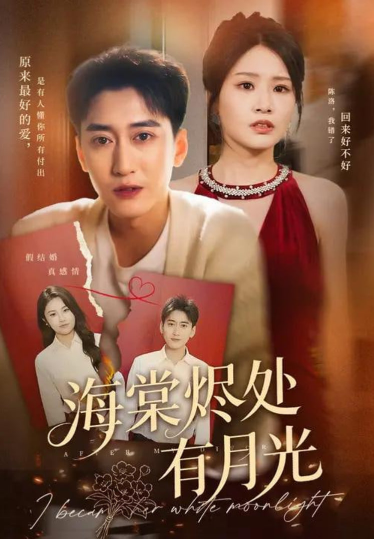 海棠烬处有月光