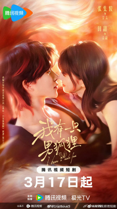 我有一只男狐狸