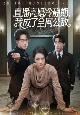 直播离婚冷静期，我成了全网公敌