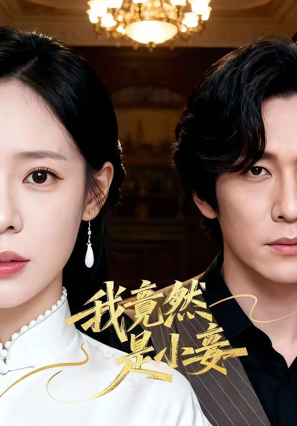 我竟然是小妾